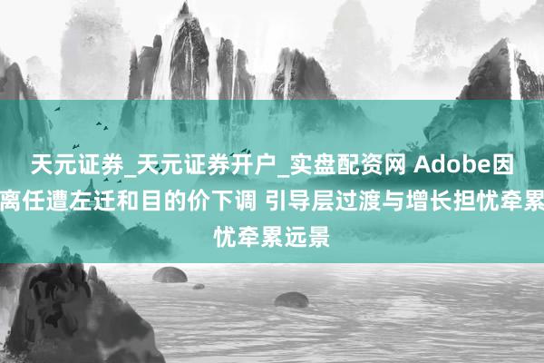 天元证券_天元证券开户_实盘配资网 Adobe因CEO离任遭左迁和目的价下调 引导层过渡与增长担忧牵累远景